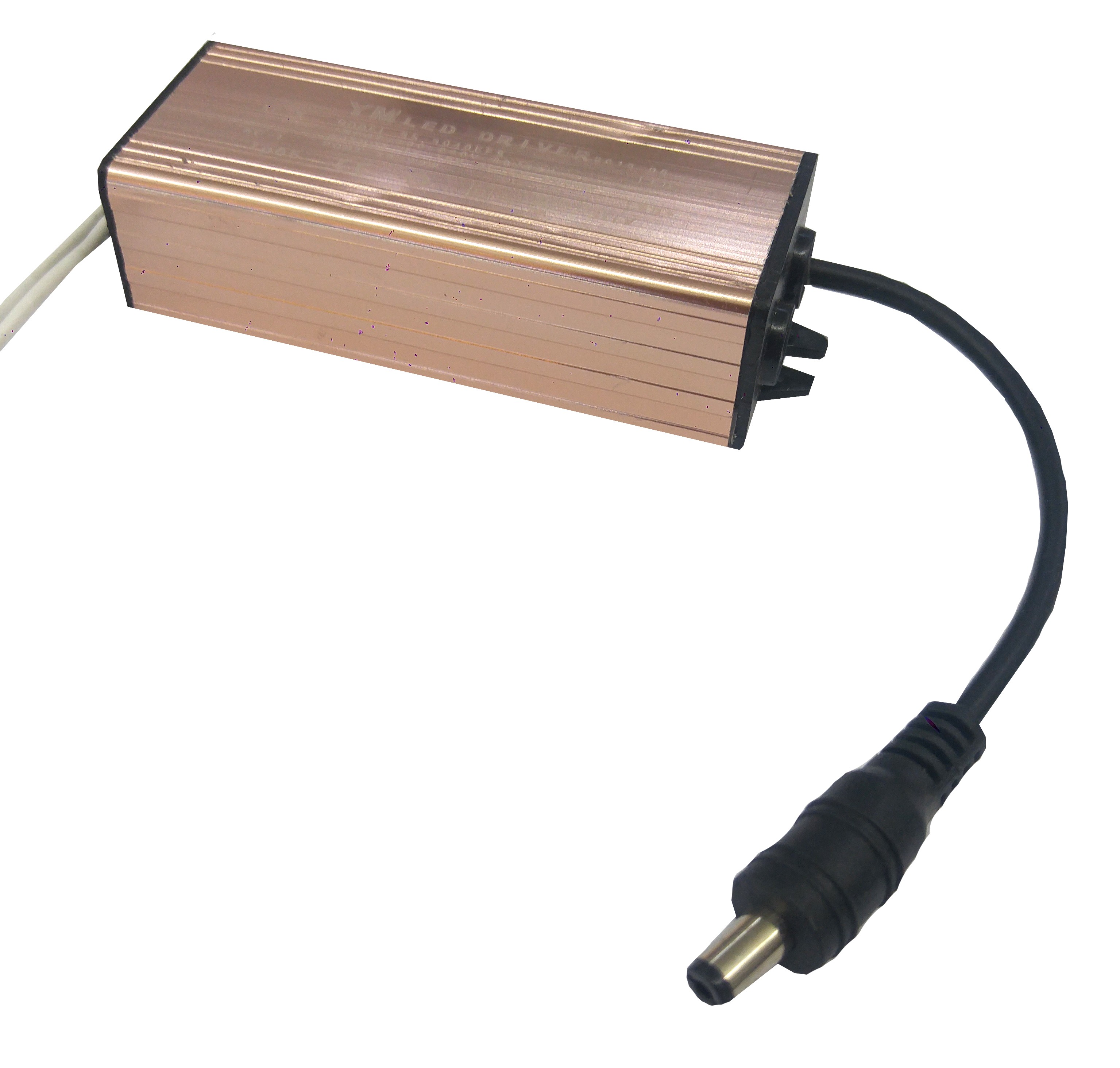 Fonte Driver para Plafon de Led 40W 