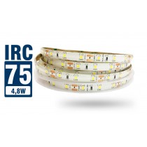 LED 2835 IP65 - Rolo 5m (300Leds) - 4,8w/m