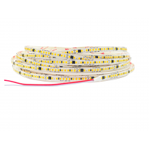 Fita LED SMD 192LEDS/m IP44 13w/m 110lm/m 5m 8mm 6500k 127v 3769/970